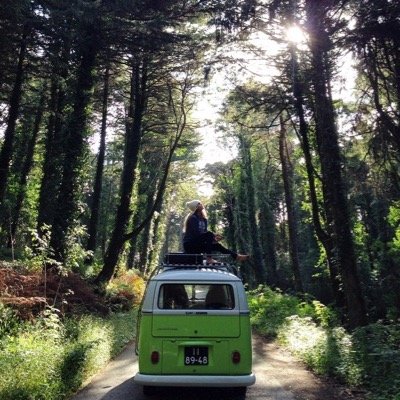 NoResultsFound_'s profile picture. Trying to escape the limits and expectations. One villian at a time. 2.8.14