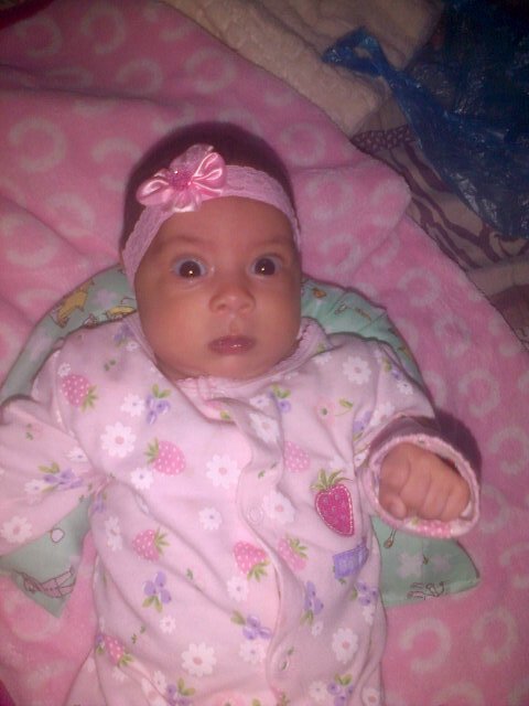 Mi creacion info aki!