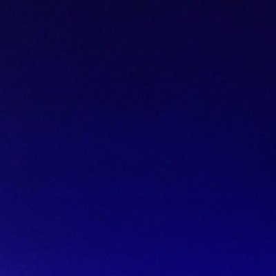 yanszeli's profile picture. 