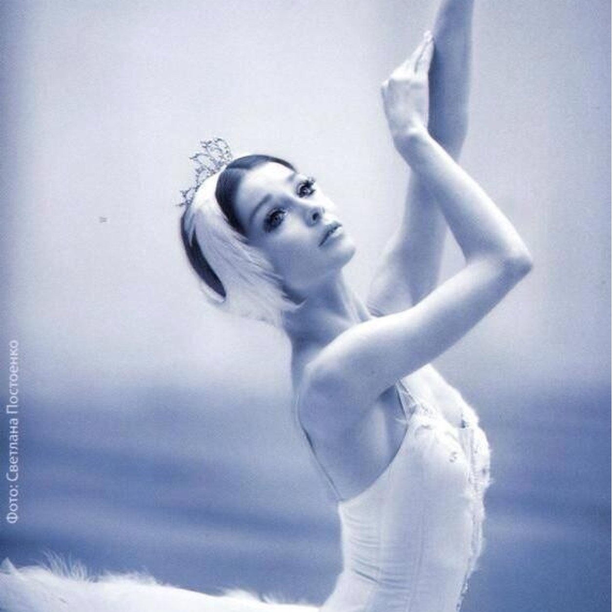 Ballerina_World's profile picture. Want to know what it's like to be a ballerina? follow me, I follow back