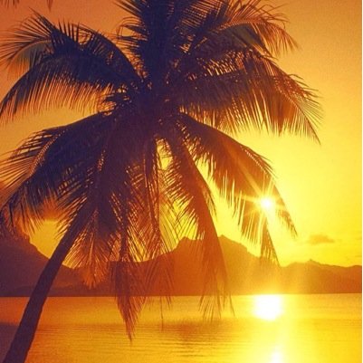 justamoonbeam's profile picture. im moving to @theelastcooki3 .