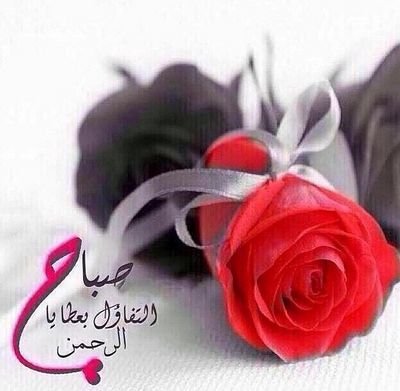 ‏عسى ربي يحفظ احبائي