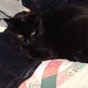 Lauri Thompson - @lauri_thompson - Twitter