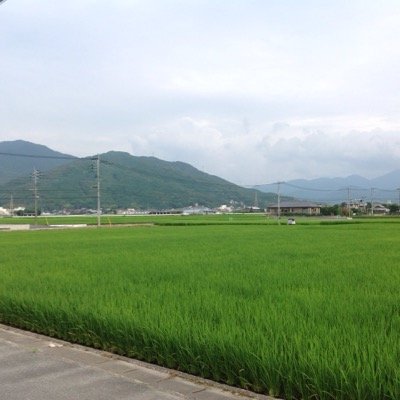 台湾・台南市在住。福岡県福岡市生まれ。大学教員。研究領域: 日本近現代文学・文化(主に『新体詩抄』、和歌改良論、国語国字問題、「サブカルチャー」をめぐる言説)、現代日本ポピュラーカルチャー(主にビデオゲーム)、その他(台湾妖怪本)。https://t.co/87ThHEVV0J