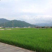 manjimal_sakaki (@manjimal_sakaki) 's Twitter Profile