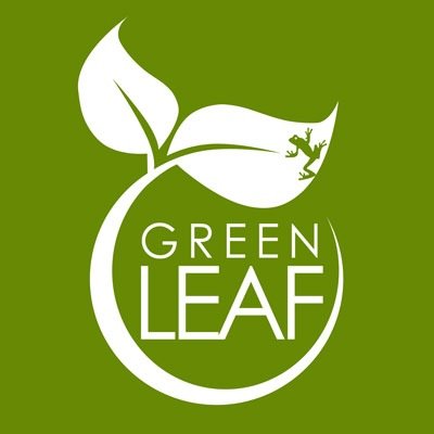 GrnLeafMediSpa's profile picture. Welcome to Green Leaf Medi Spa - where health and beauty meet, creating a tranquil and nurturing environment.
