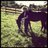 Danie_Roberts4's profile image