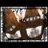 poko_bean's profile image