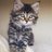 thepetlover08's profile image