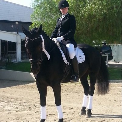 AllTimeDressage's profile picture. 