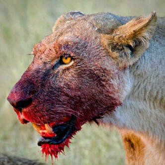 _maickhel's profile picture. Gat all d feature u xpected from me... ALPHA MALE