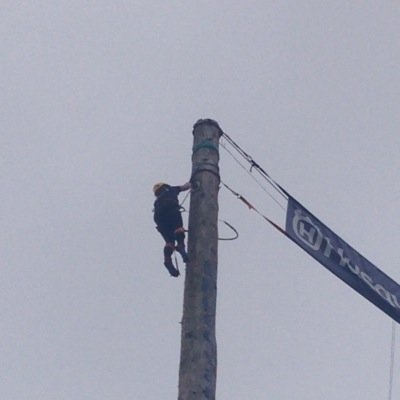 Miss Tree Services is an arboriculture buisness, from small hedges to removal of large trees and everything inbetween.