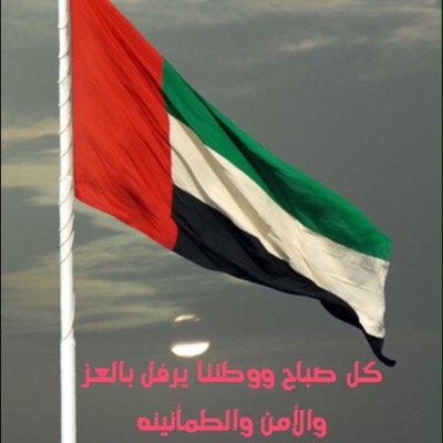 أنا إبن الإمارات الغالية، وأفتخر بخليجيتي، وهمي وطني العربي الكبير