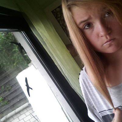 DulinskiMone's profile picture. hi