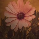 EricKhoa54 - @EricKhoa54 - Twitter