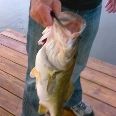 marcelle_renee's profile picture. 