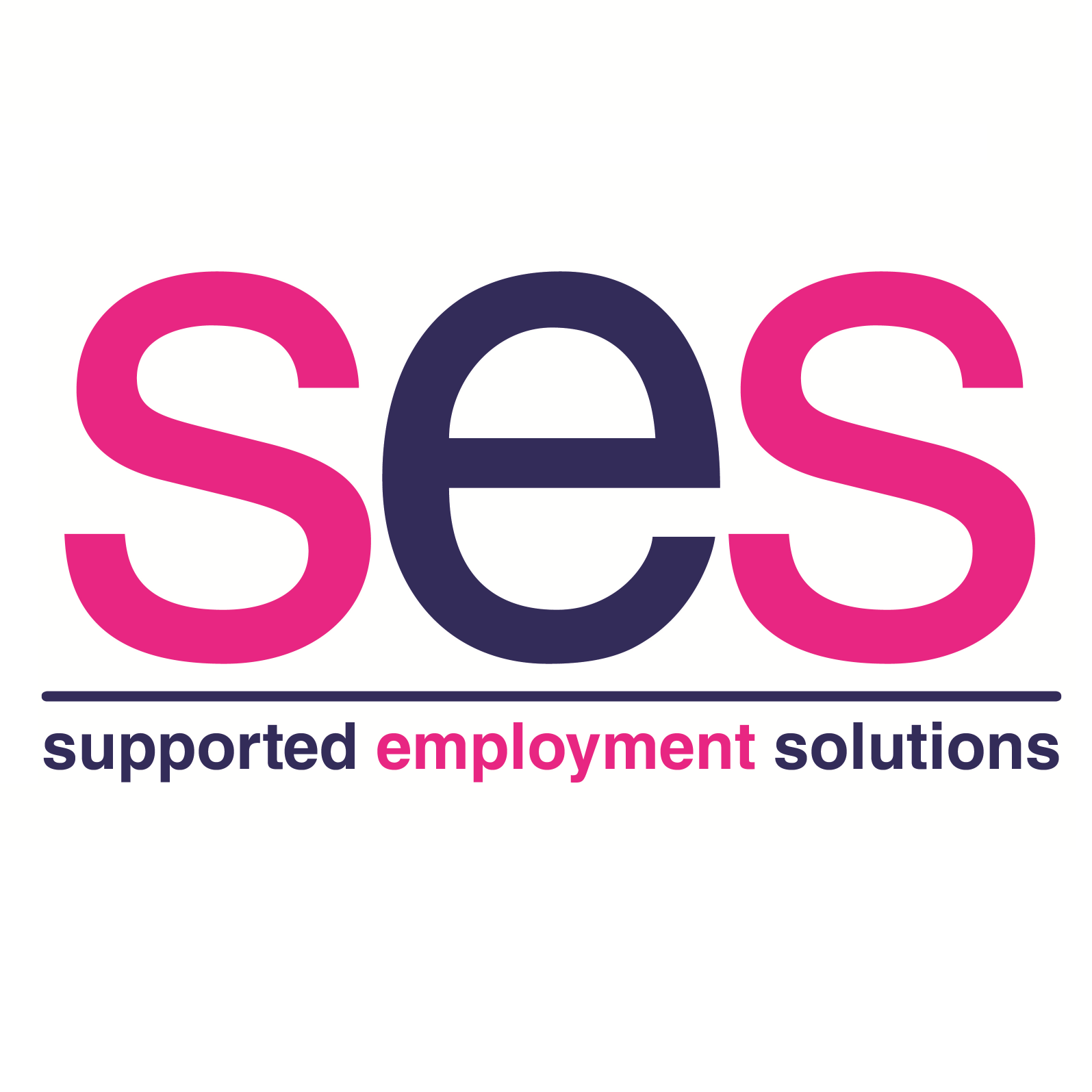 We are SES - Supported Employment Solutions.  A Consortium of 7 Disability Supported Employment Organisations currently delivering the Workable (N.I.) Programme