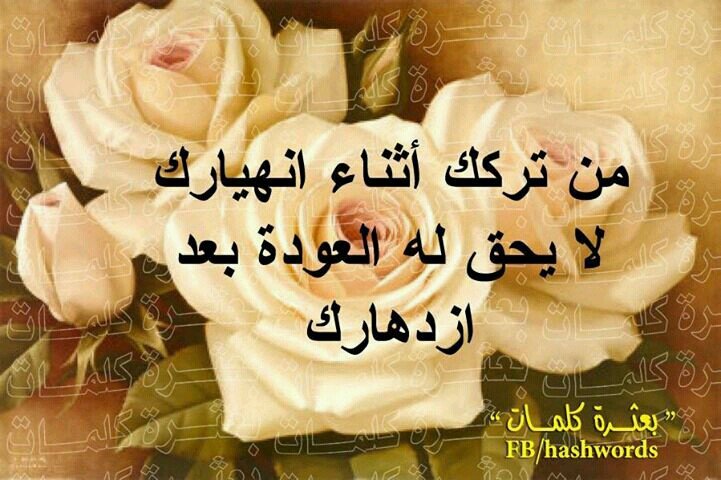 عنيد