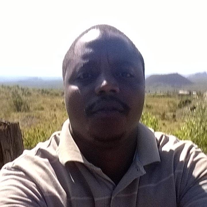 dayvwanjoh's profile picture. 