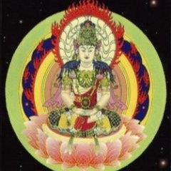 gramicci88's profile picture. ぼちぼち