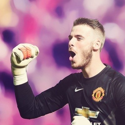 I tweet everything Manchester United.