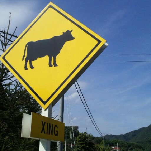 brassicana's profile picture. 菜っぱの菜(brassica)。 田舎の兼業農家の嫁で、男子２人(6歳と4歳)のアラフォー母ちゃん。 ハンドクラフト色々やりつつ、多肉植物を増やす日々の作業記録。 クラフトバンド、刺し子、刺繍、縫い物あたりを行ったり来たり。