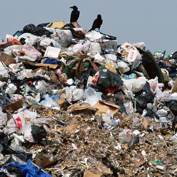 The civil campaign for clean Vitebsk