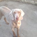 Marcus Bond - @Sasha1Bond - Twitter