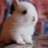 djk___05's profile image