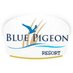 Blue Pigeon (@bluepigeonrsrt) Twitter profile photo