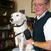 David Crayton (@doufous) 's Twitter Profile