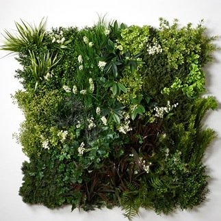 walls_philip's profile picture. Our talented designers have developed the finest quality and most luxurious naturalistic artificial green walls available Middle East