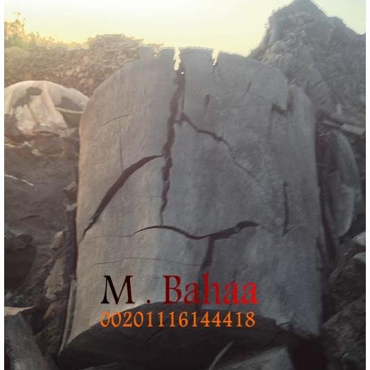 Company Elmothdon Trade and charcoal product