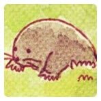 のしさんのプロフィール画像