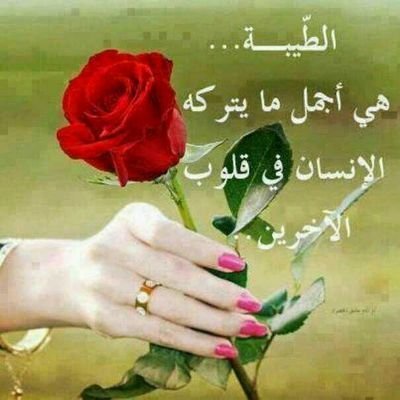 asdvbjki's profile picture. 