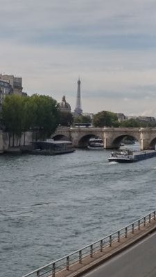 15O19S's profile picture. 