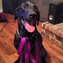 Alex Garvin - @ANMGarvin - Twitter