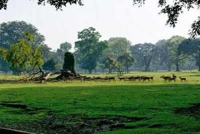 srisumisetyo's profile picture. Penyuluh pertanian.Bojonegoro