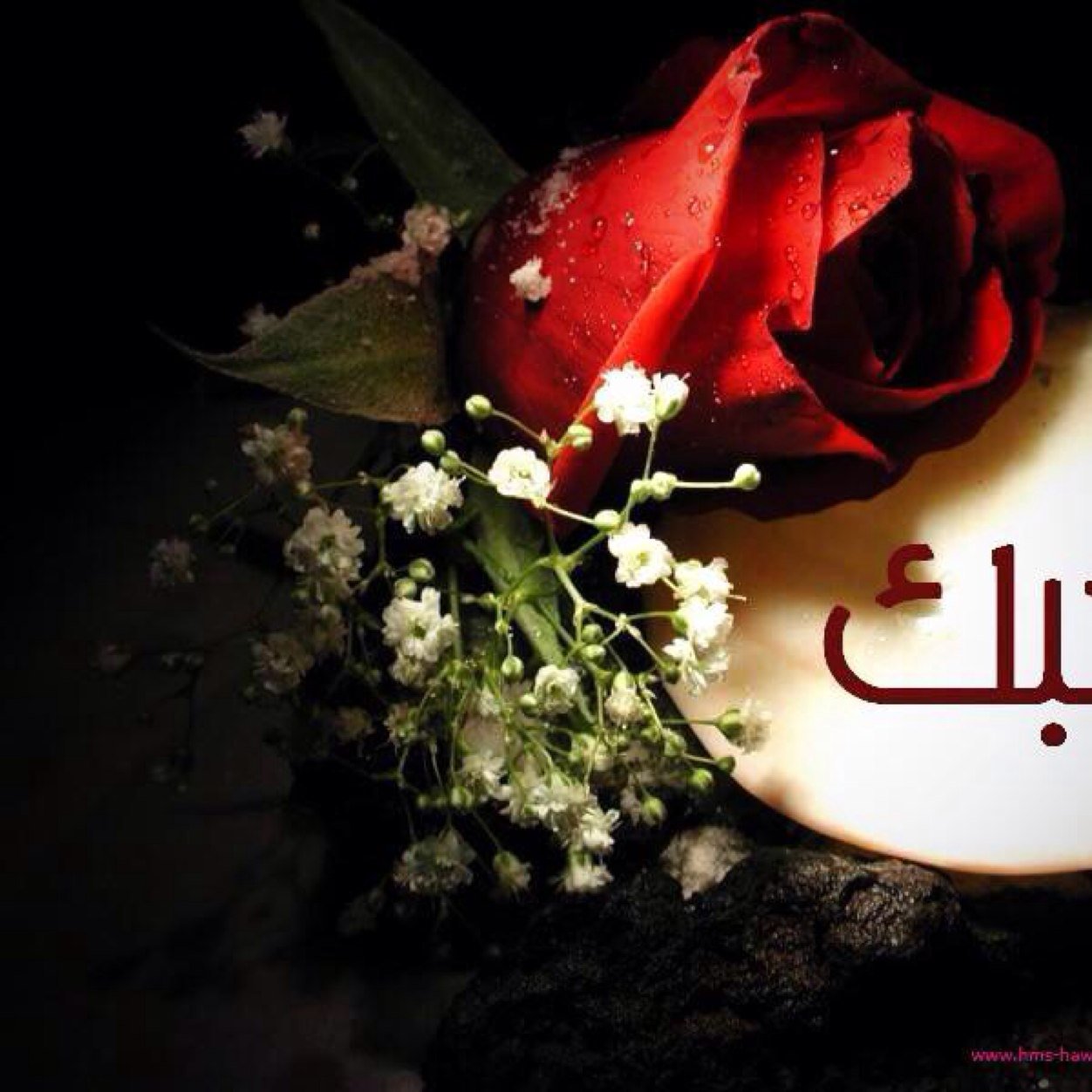 لا اله الا الله