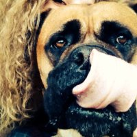 kay Bogg (@kaybogg) 's Twitter Profile