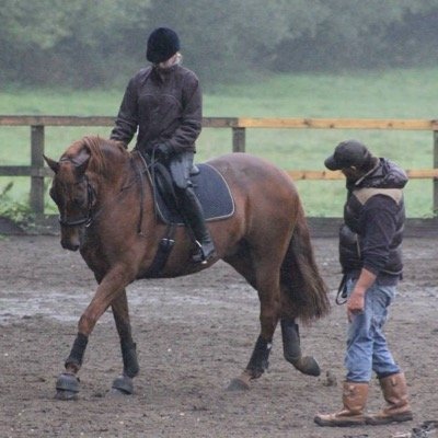 Equine Behaviorist | Freelance Riding Instructor | Managing Director - Stud XIX Equestrian