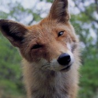 smelly (@smelly) 's Twitter Profile