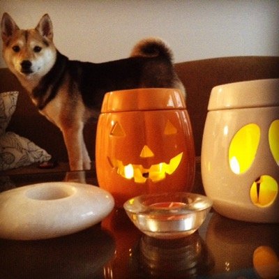 abby_bobabby's profile picture. 