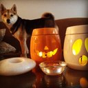 Abby Gail - @abby_bobabby - Twitter