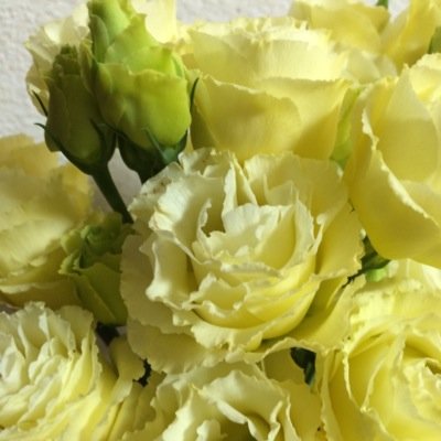 ikkin_aros's profile picture. 