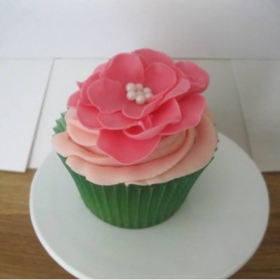 Dancer & singerfor 27 years. Love all kinds of baking. Set up my own business, Laura Lush Cakes. Married my Prince on 28/07/12. xx #purplebiz winner 09/10/14