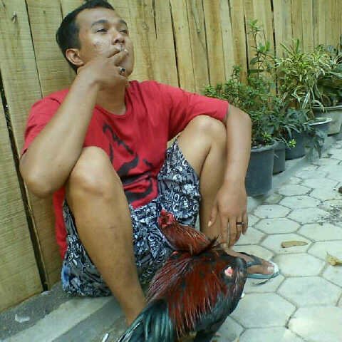 Bikin Hidup Lebih Hidup...
