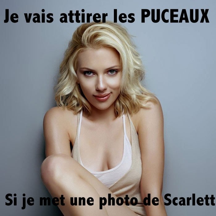 J'ai un esprit merdique, autant le mettre à profit sur twitter.