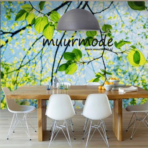 Bijzondere muurdecoratie | Woon- en interieurinspiratie | Gepersonaliseerde producten mogelijk | Voor thuis en kantoor | Ook zakelijke oplossingen | Denken mee