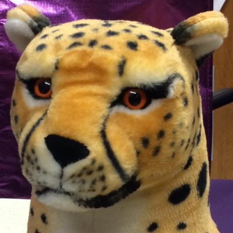 Sunset Valley Elem Profile